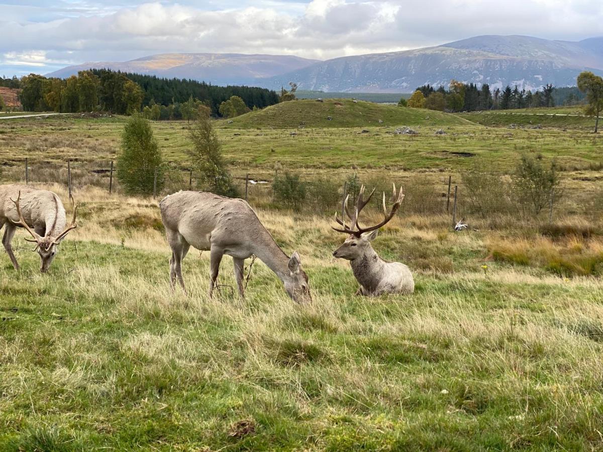 Отель Ardenbeg Grantown-on-Spey Экстерьер фото